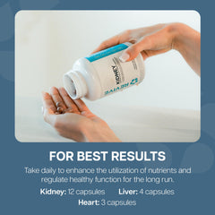 Revive MD Liver Formula bottle close-up could aid healthy liver support daily