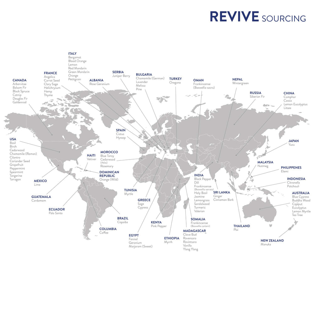 REVIVEEO Purify aromatherapy setup for everyday serenity and mood support.