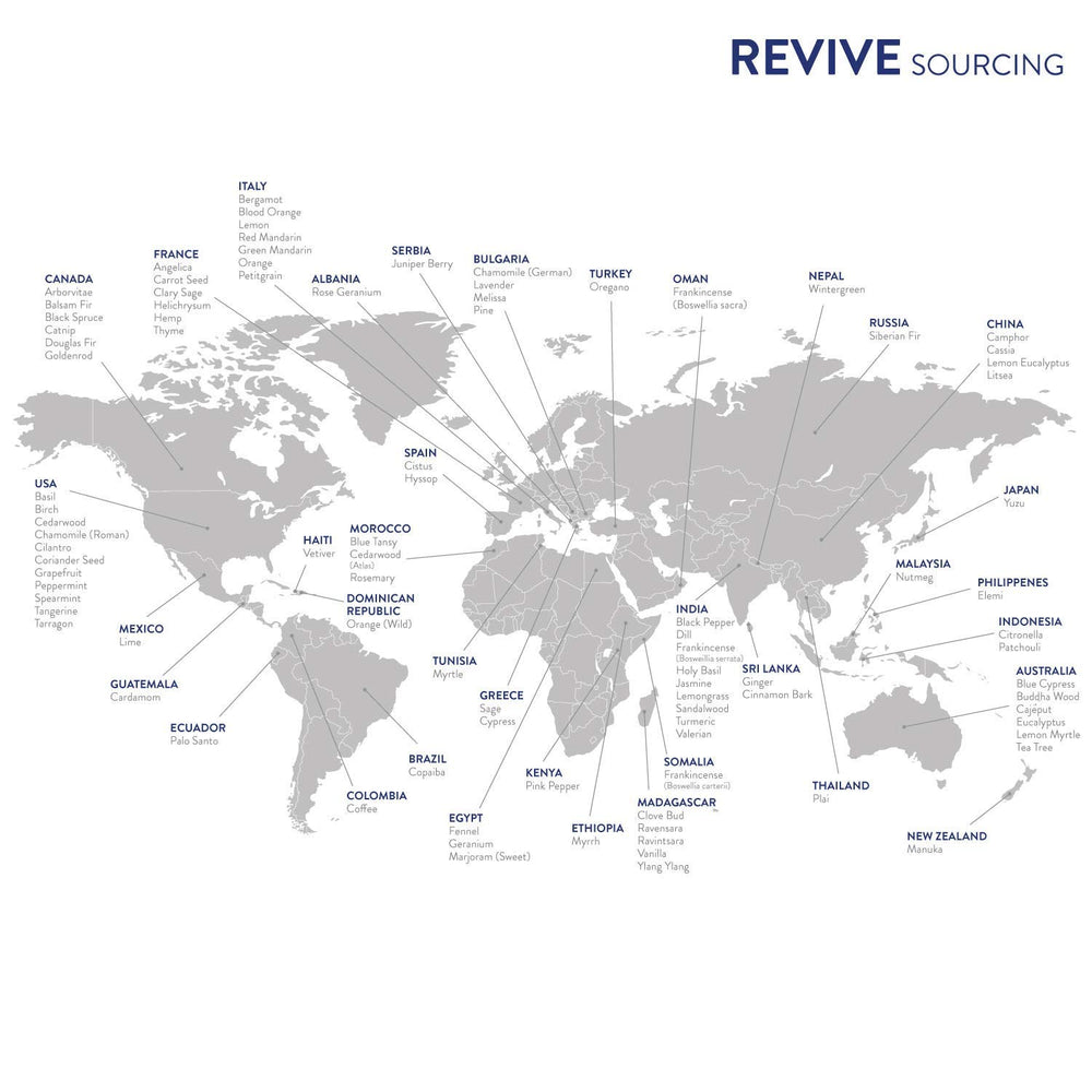 REVIVEEO Packaging box showing 10 oils for versatile routines.