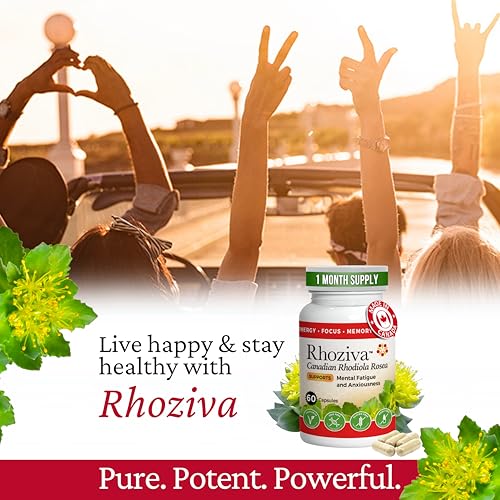 Rhoziva dry root extract 5:1 potency with Rosavins and Salidrosides