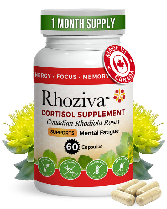 Rhoziva Rhodiola Rosea capsules ready for daily focus support