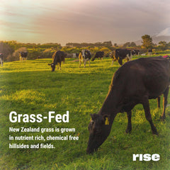 Rise 5.5g BCAAs close-up signaling support for post-workout recovery.