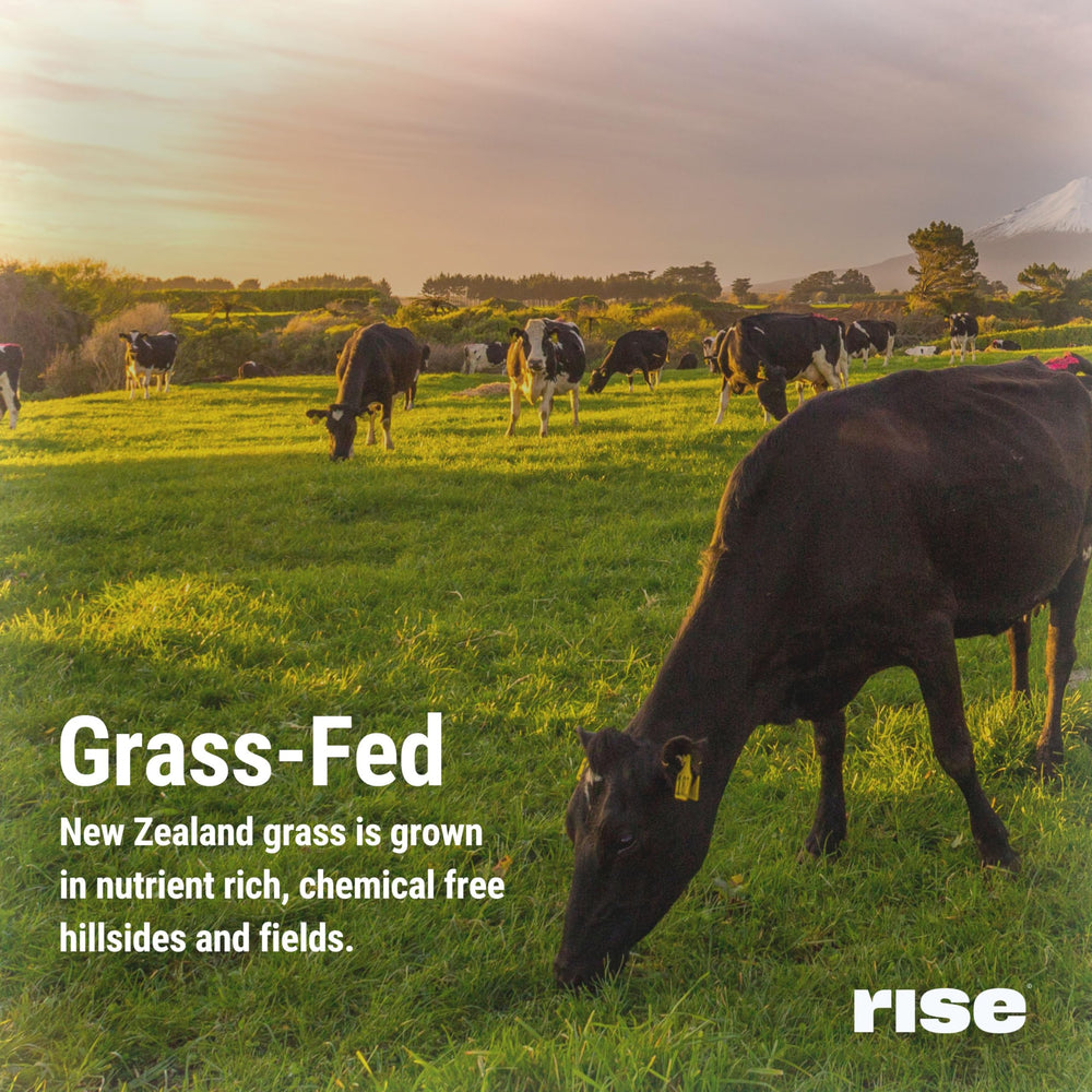 Rise No artificial flavors label emphasizes clean ingredients.