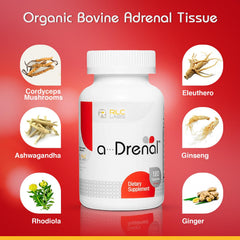 RLC Labs a-Drenal capsules close-up for daily energy and resilience.