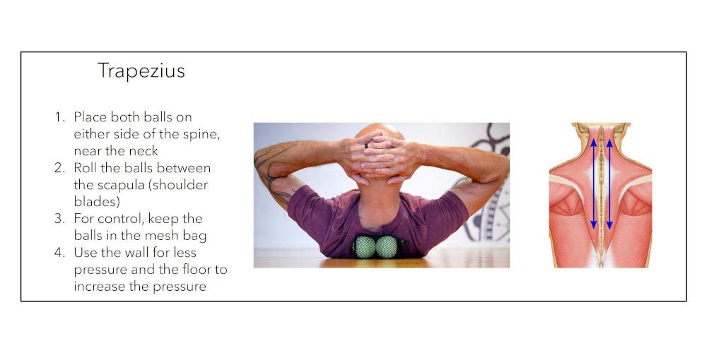 Rollit Therapy Brevis ball pair fits small areas on the body