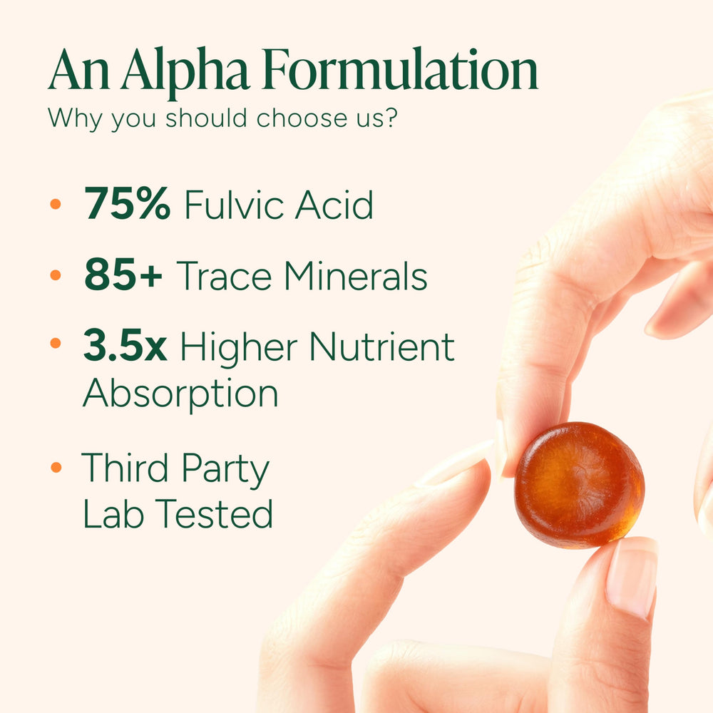 ROOT LABS Shilajit Gummies packaging ingredients list highlights maca and tongkat ali