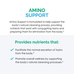Rootcology Amino Support ingredients glutamine glycine MSM emphasize overall health possibilities.