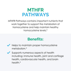Box and bottle of Rootcology MTHFR Pathways together for branding focus
