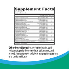 Nitrogen-purged blister packaging preserves probiotic potency on shelves.