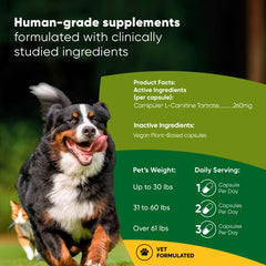 Rooted Owl Metabolism Support label close-up highlights Carnipure L-Carnitine benefits