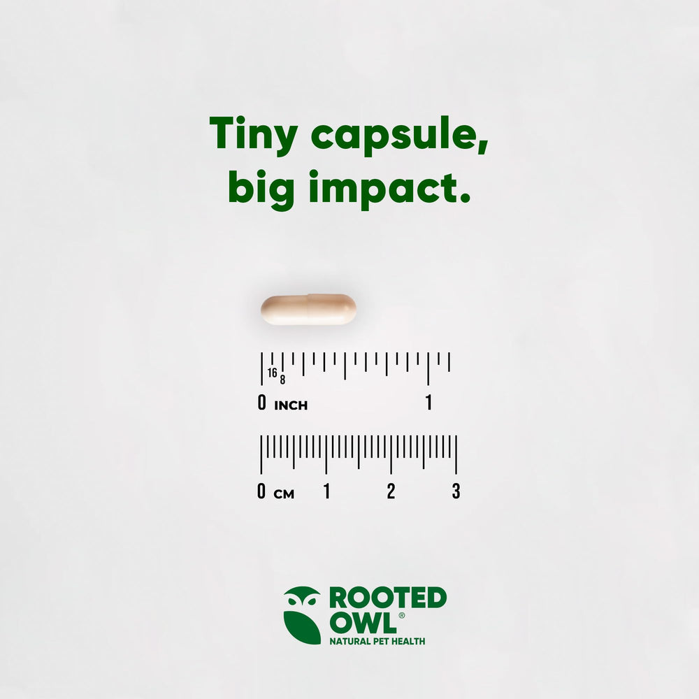 Rooted Owl Metabolism Support serving directions guide proper daily dosing