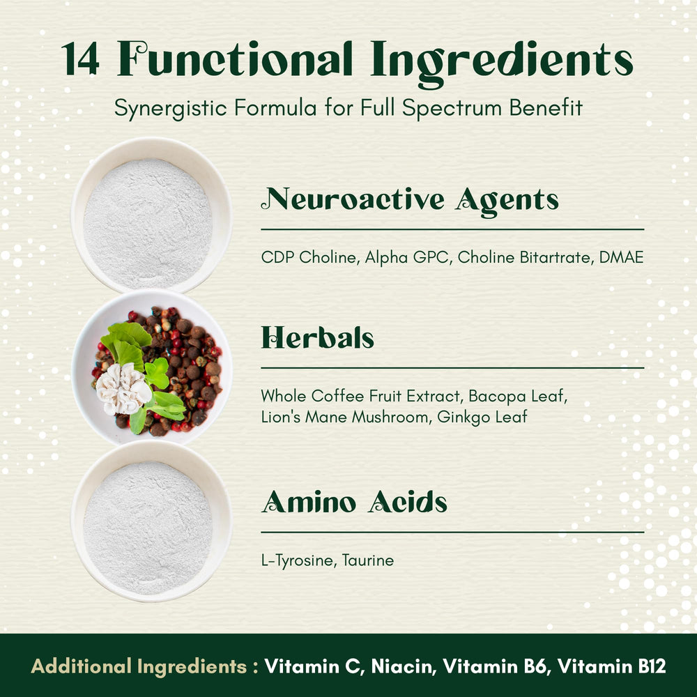 Rootful Mind Alpha Focus nutrition facts highlight vegan and non-GMO formula.