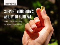ROUNDHOUSE PROVISION Three Hit Combo wellness routine vibe for daily health.