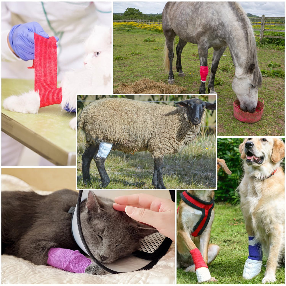 RUBY.Q soft nonwoven bandage wrap feels gentle on skin and stays in place