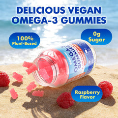 Saajoor vegan Omega-3 gummies 2-pack packaging shows convenience