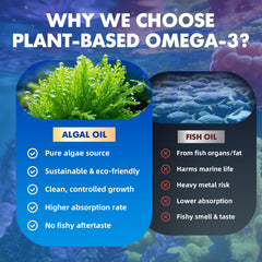 Saajoor vegan Omega-3 gummies vitamin blend icon highlights A, C, E, Zinc