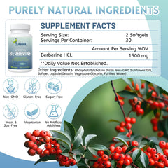 Sahha Berberine label notes non-GMO, gluten-free, and allergen-free formula