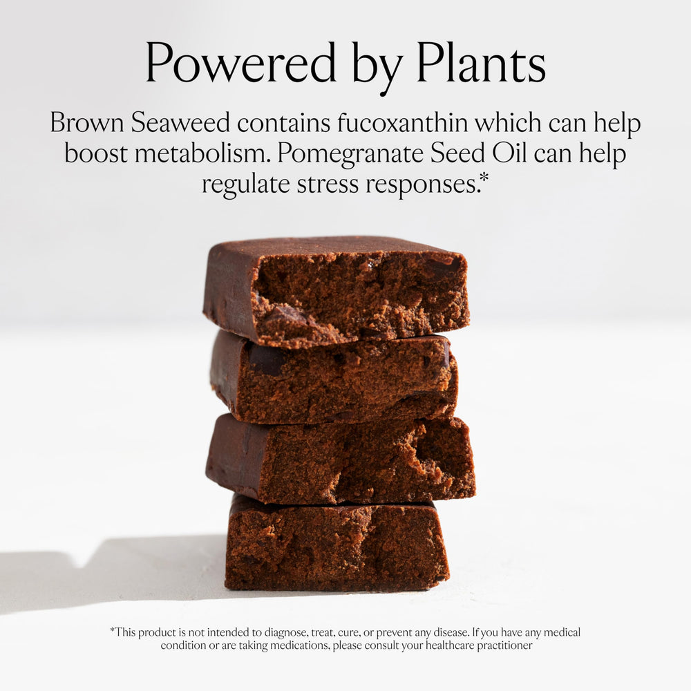 SAKARA Metabolism Bar close-up shows fucoxanthin and plant protein ingredients.