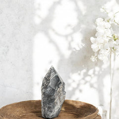 SAMSARI Net Jasper points radiate natural energy for home décor and spiritual practice.