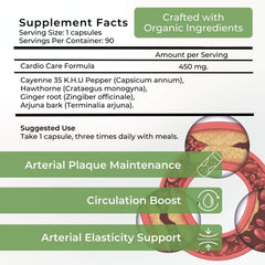 Sana Herbal Sciences Artery Plaque Removal Formula packaging on shelf