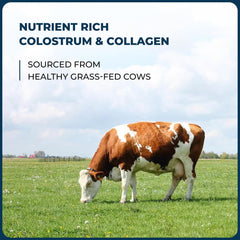 Sandhu's colostrum collagen powder scoop enables easy measuring and mixing