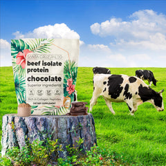 Santa Cruz Paleo Beef Isolate Chocolate ingredients closeup showing clean label