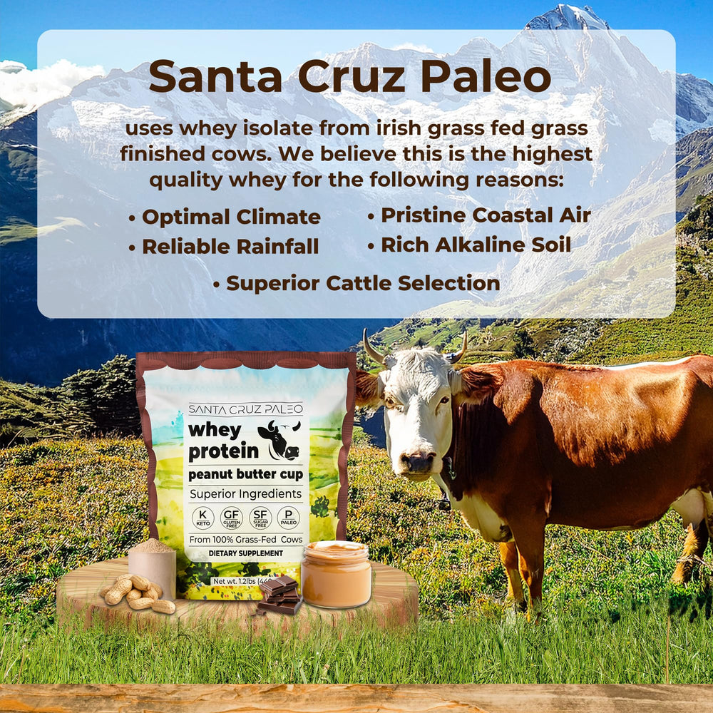 Santa Cruz Paleo whey protein close-up texture highlights clean ingredients