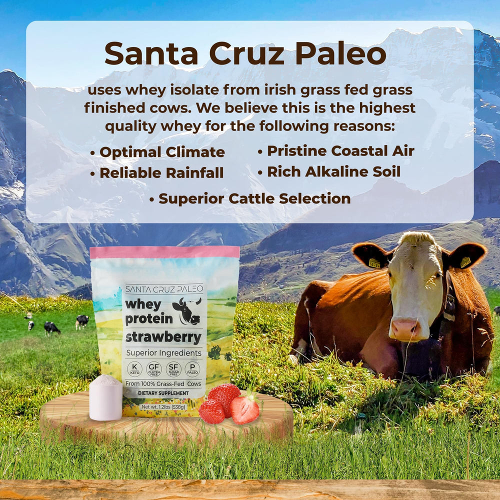 Close-up of Santa Cruz Paleo whey strawberry powder for mixing