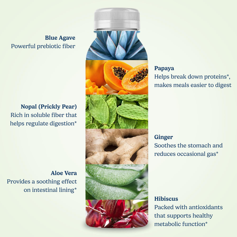 Santo Remedio Digestion Plus passionfruit flavor bottle with ice suggests flavorful hydration