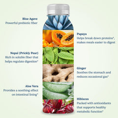 Santo Remedio Digestion Plus passionfruit flavor bottle with ice suggests flavorful hydration
