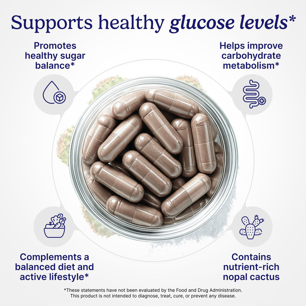 Santo Remedio Gymnema Sylvestre leaf image emphasizes plant-based support for mindful snacking choices.