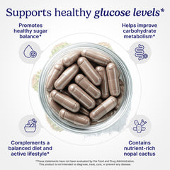 Santo Remedio Gymnema Sylvestre leaf image emphasizes plant-based support for mindful snacking choices.