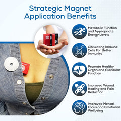 Hypoallergenic plastic casing keeps magnets safe and durable.