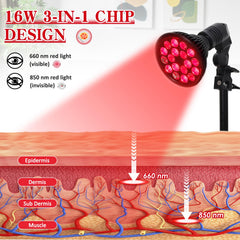 Saviler knee and joints care with deep-penetrating red light exposure