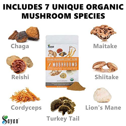 Sayan 7 Mushrooms powder close-up highlights rich texture for smooth mixing