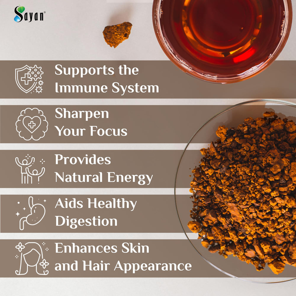 Sayan chaga powder dispersing in hot water hints at rich infusion