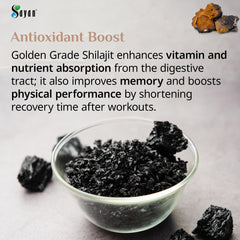 Sayan Siberian Chaga full-ingredient scene on clean surface, evoking natural wellness.