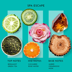 SB SCENT BETTER Spa Escape label highlighting safe, pet-friendly fragrance