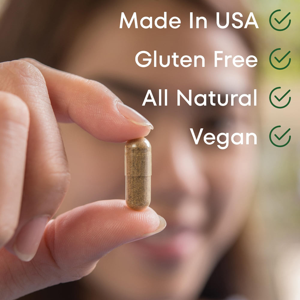 Scale Nutrition Gain label front highlights natural appetite-boosting botanicals