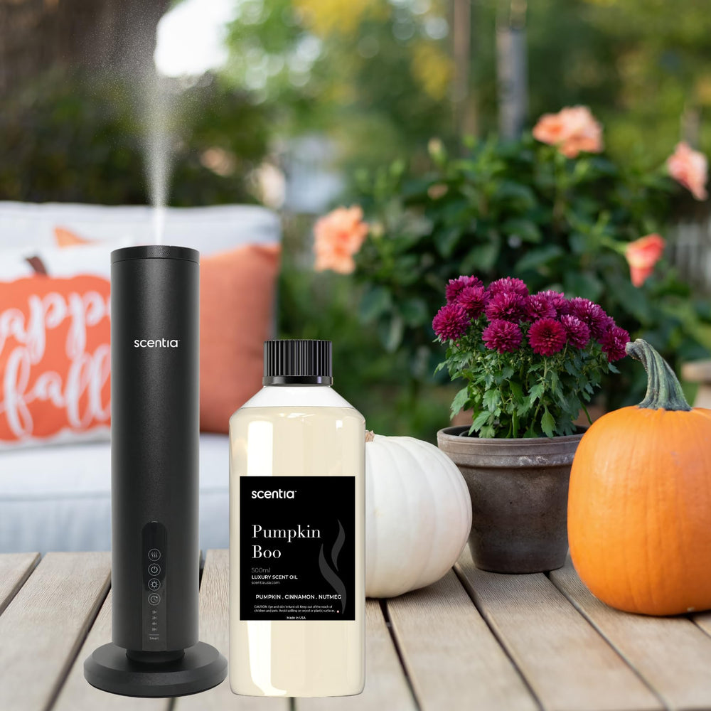 Scentia Pumpkin Boo bottle showcasing pumpkin spice fragrance for diffusion.