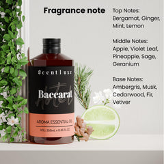 Scentluxe Baccarat diffuser packaging box signals premium gift-ready presentation