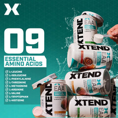 Scivation Xtend EAA Mango shaker-mix ready-to-drink post-workout option.