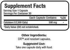 Script Essentials delayed-release capsules close-up, highlighting steady absorption for daily routines.