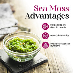 SeaAloe Nature's Liquids green aloe leaf highlights natural ingredients