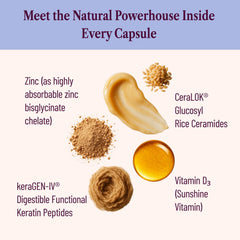 SEASON34 ceramides reinforce skin lipid barrier and hydration.
