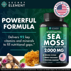 Secret Element Sea Moss Capsules close-up of capsules highlighting easy-to-swallow daily use.