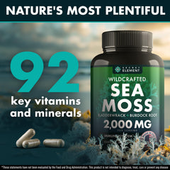 Secret Element Sea Moss Capsules closeup of capsules highlighting convenient dosing.