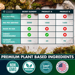 Secret Element Sea Moss Capsules USA-made packaging communicates quality and transparency.