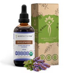 Secrets of the Tribe Bugleweed tincture bottle closeup showing organic, alcohol-free liquid