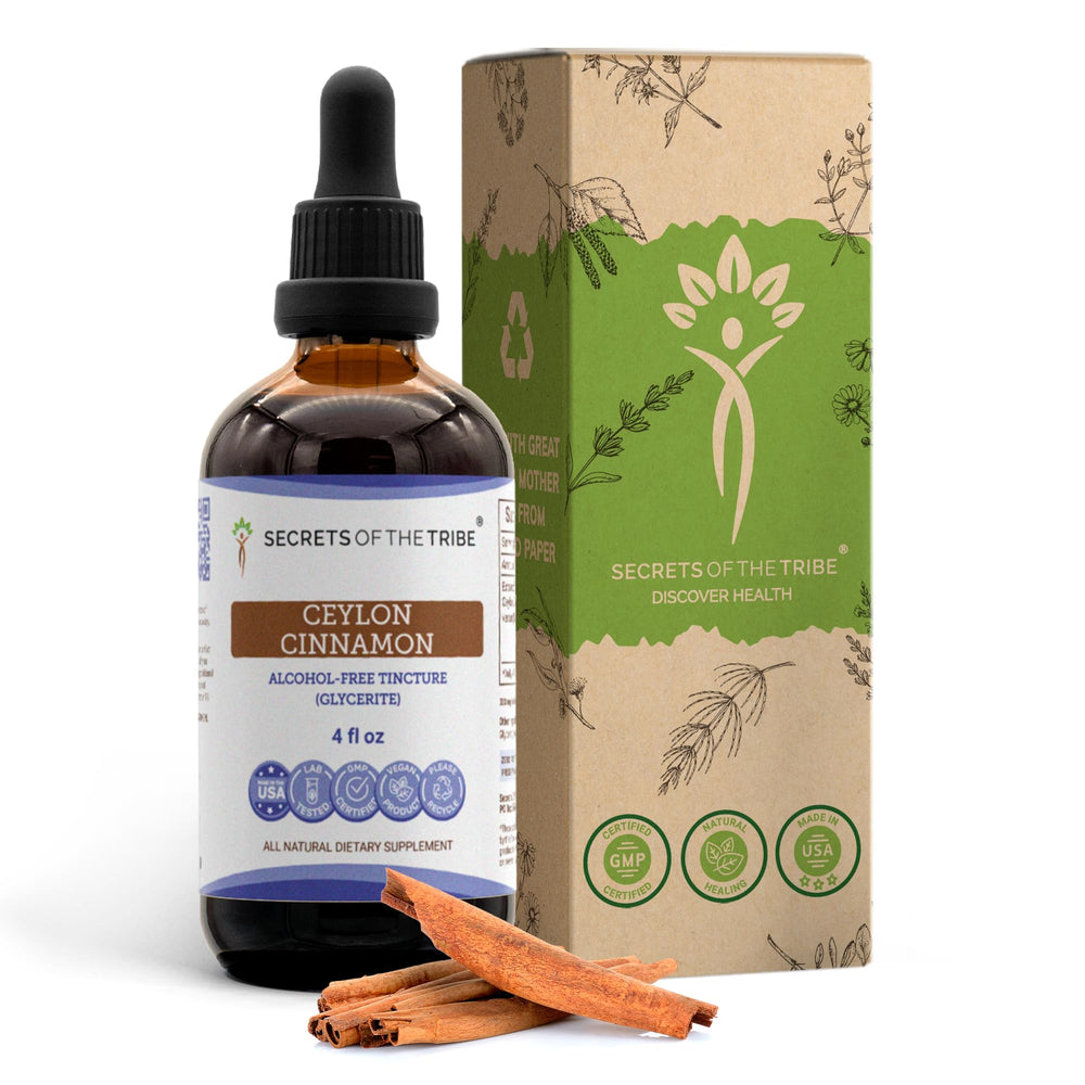 Secrets of the Tribe Ceylon Cinnamon tincture bottle for daily wellness